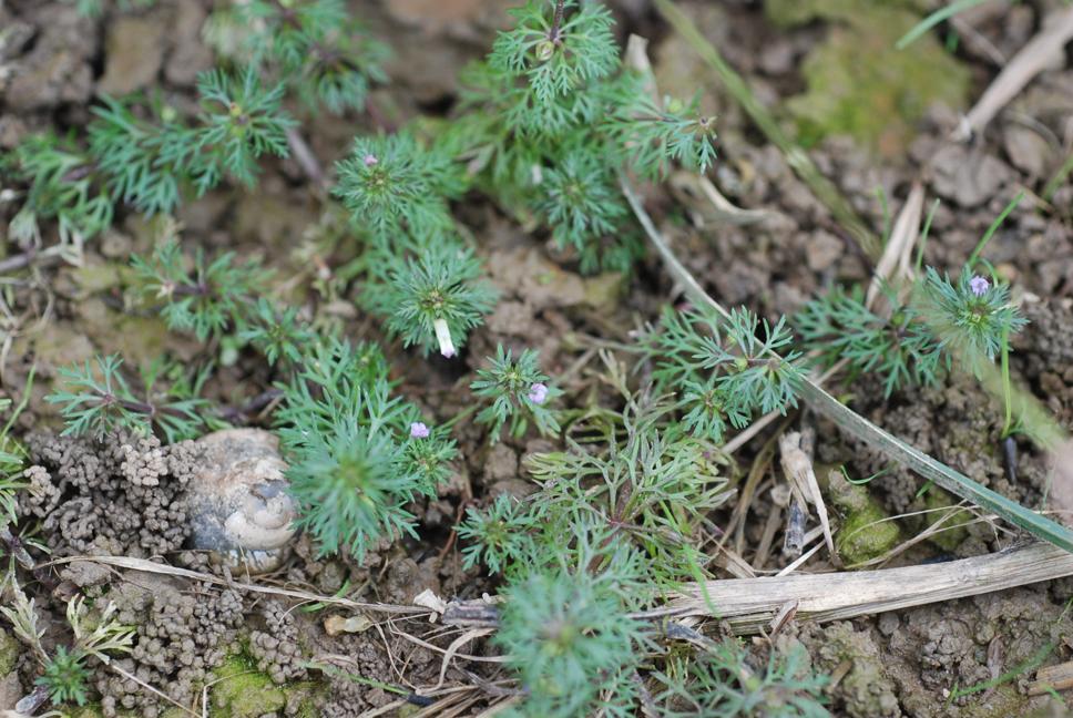 민구와말 이미지