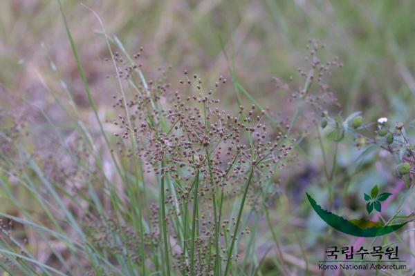 바람하늘지기 이미지