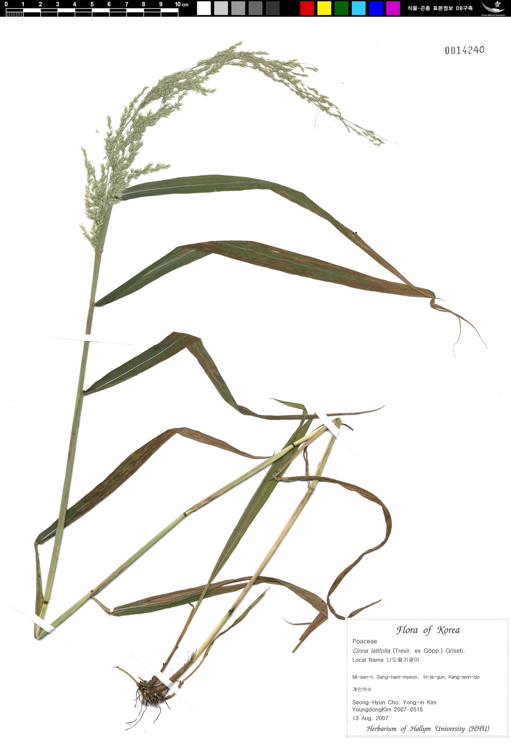 나도딸기광이 이미지